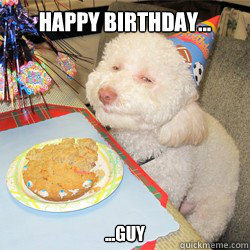 happy birthday... ...guy  birthday dog