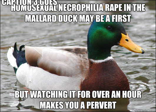 Homosexual necrophilia rape in the mallard duck may be a first But watching it for over an hour makes you a pervert Caption 3 goes here  Actual Advice Mallard