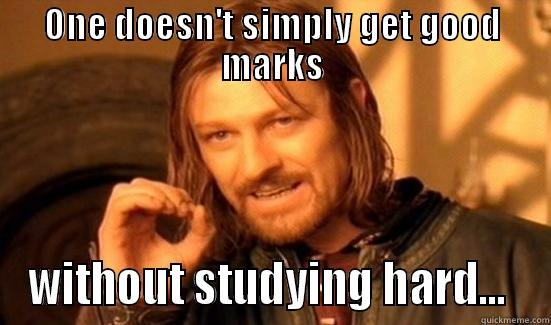 ONE DOESN'T SIMPLY GET GOOD MARKS WITHOUT STUDYING HARD...  Boromir