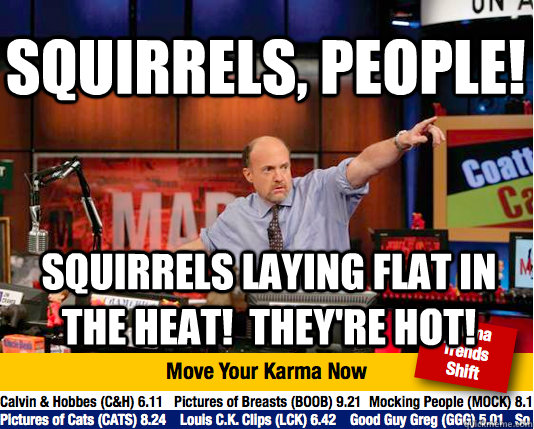 squirrels, people! squirrels laying flat in the heat!  They're hot!  Mad Karma with Jim Cramer