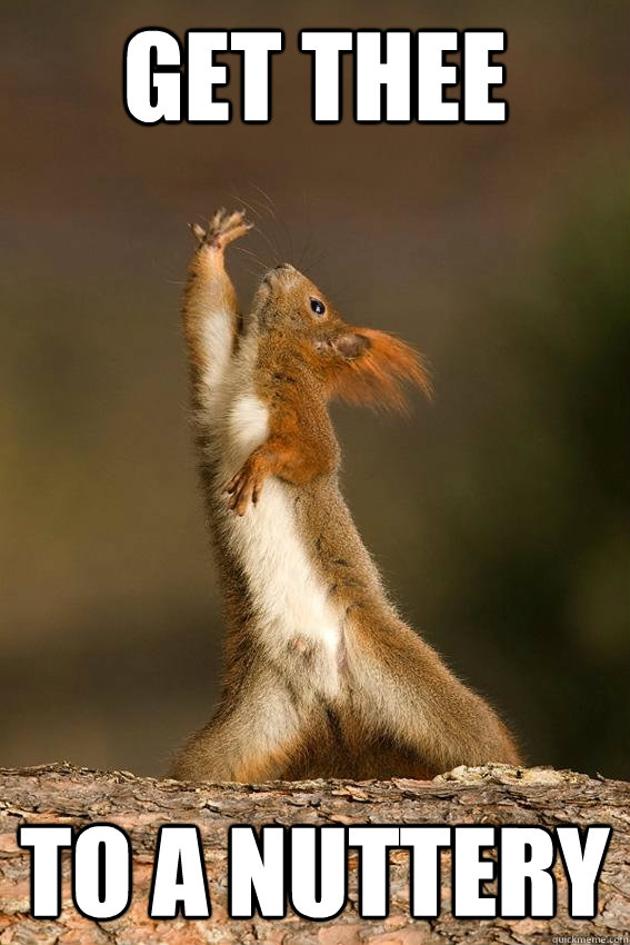 Get thee to a nuttery - Get thee to a nuttery  Shakespeare Squirrel