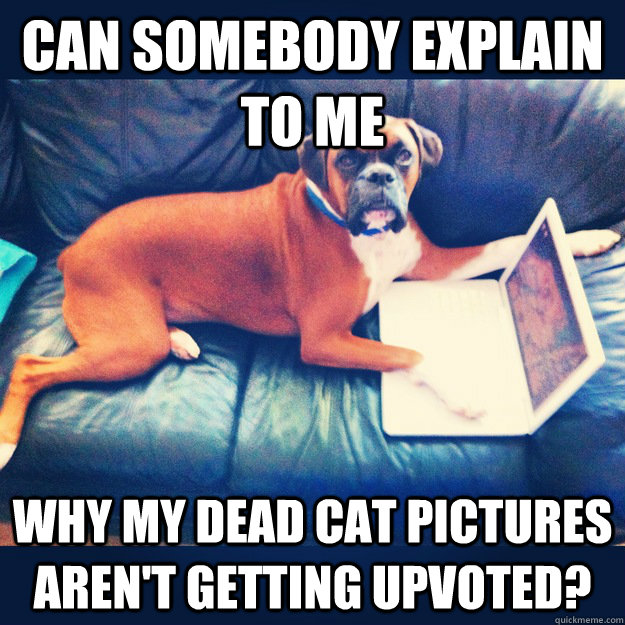 can somebody explain to me why my dead cat pictures aren't getting upvoted?  