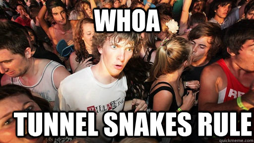 Whoa Tunnel snakes rule  Sudden Clarity Clarence