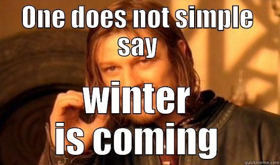 ONE DOES NOT SIMPLE SAY WINTER IS COMING Boromir