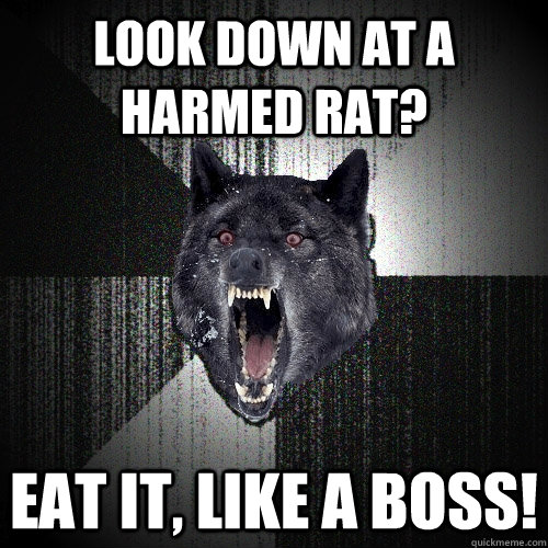 Look down at a harmed rat? eat it, LIKE A BOSS!  Insanity Wolf