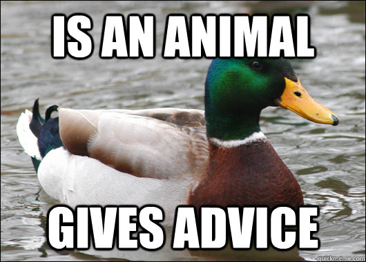 is an animal gives advice  Actual Advice Mallard