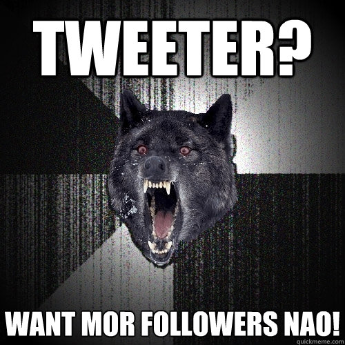 tweeter?  want mor followers nao!  Insanity Wolf