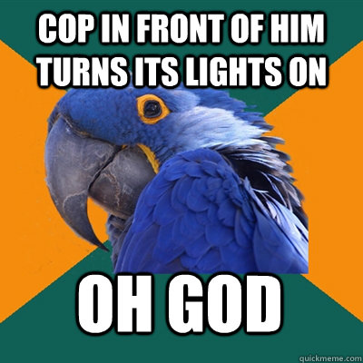 cop in front of him turns its lights on oh god  Paranoid Parrot