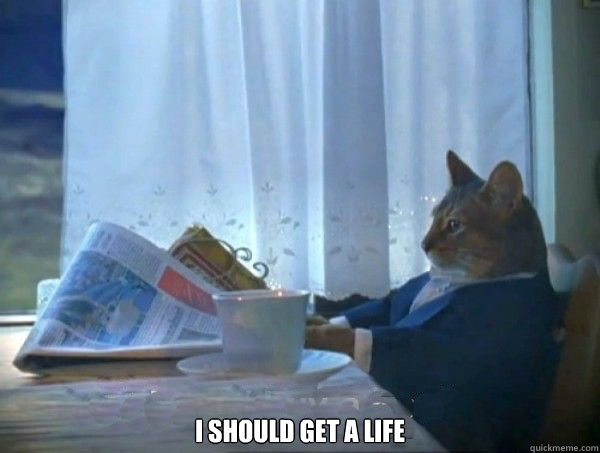  i should get a life  morning realization newspaper cat meme