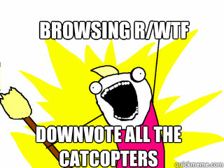 Browsing r/WTF downvote all the catcopters  All The Things