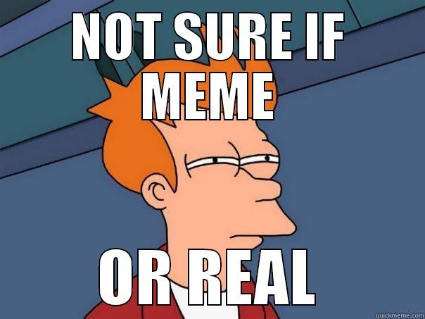 NOT SURE IF MEME OR REAL Futurama Fry