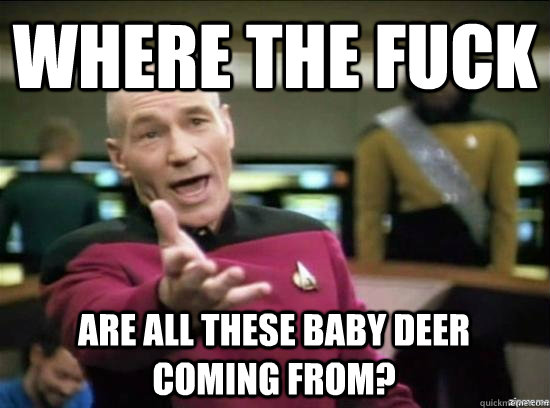Where the fuck Are all these baby deer coming from?  Annoyed Picard HD