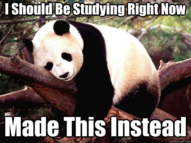 I Should Be Studying Right Now Made This Instead  Procrastination Panda
