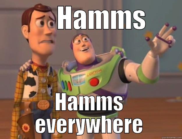 Telling a buddy you're having Hamms tonight -      HAMMS HAMMS EVERYWHERE Toy Story