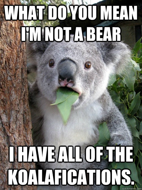 What do you mean I'm not a bear I have all of the koalafications.  Surprised Koala