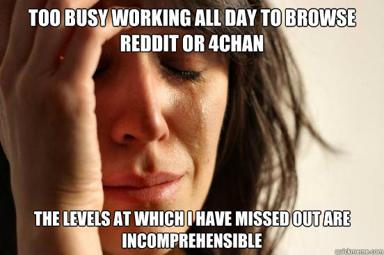 Too busy working all day to browse reddit or 4chan The levels at which I have missed out are incomprehensible   First World Problems
