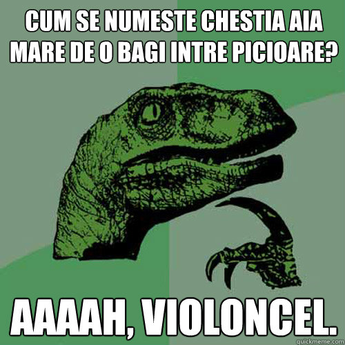 Cum se numeste chestia aia mare de o bagi intre picioare? AAAAH, Violoncel. - Cum se numeste chestia aia mare de o bagi intre picioare? AAAAH, Violoncel.  Philosoraptor