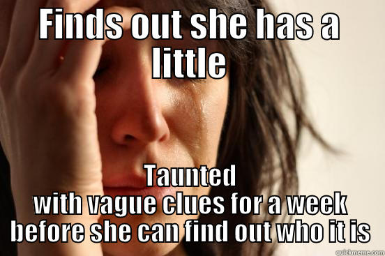 FINDS OUT SHE HAS A LITTLE TAUNTED WITH VAGUE CLUES FOR A WEEK BEFORE SHE CAN FIND OUT WHO IT IS First World Problems