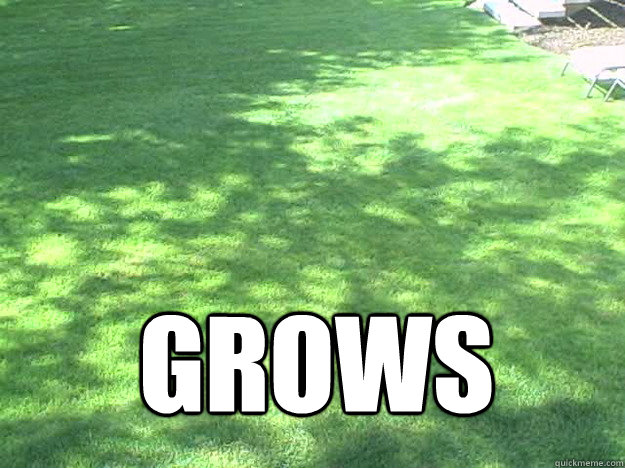  Grows -  Grows  Grass