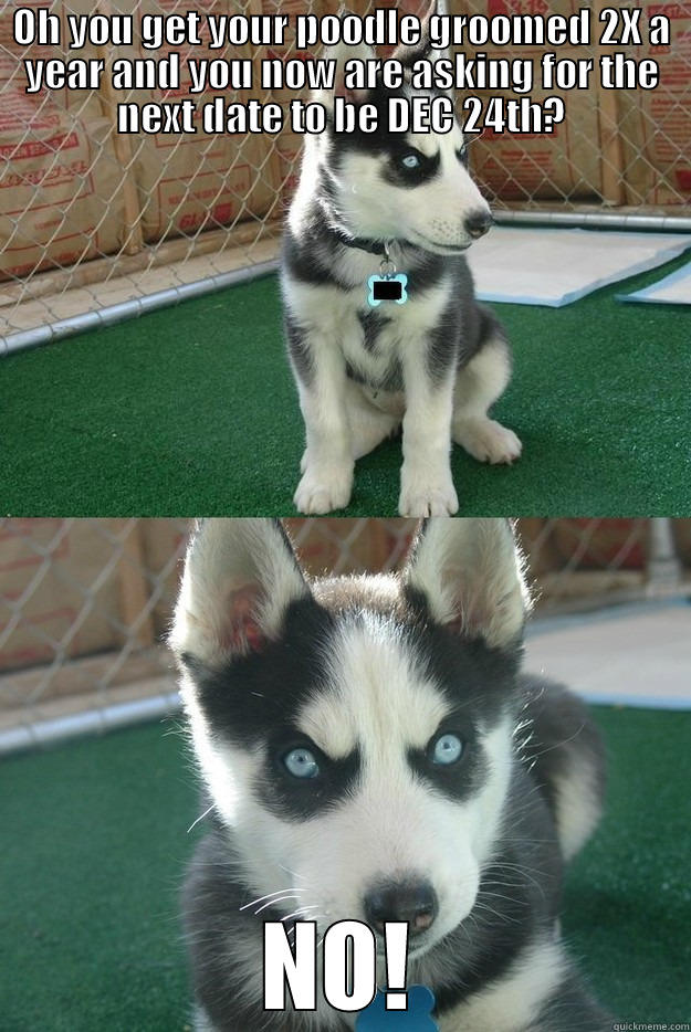 OH YOU GET YOUR POODLE GROOMED 2X A YEAR AND YOU NOW ARE ASKING FOR THE NEXT DATE TO BE DEC 24TH? NO! Insanity puppy