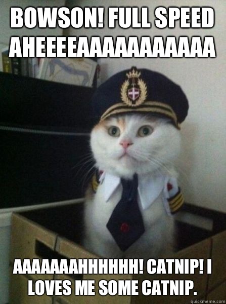 Bowson! Full speed aheeeeaaaaaaaaaaa Aaaaaaahhhhhh! Catnip! I loves me some catnip.  Captain kitteh