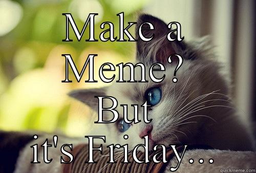 MAKE A MEME? BUT IT'S FRIDAY... First World Problems Cat