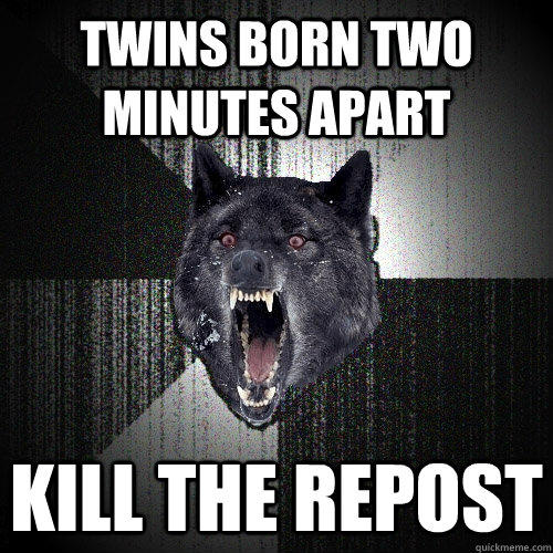 Twins born two minutes apart kill the repost - Twins born two minutes apart kill the repost  Insanity Wolf