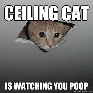 Ceiling Cat Is watching you poop  