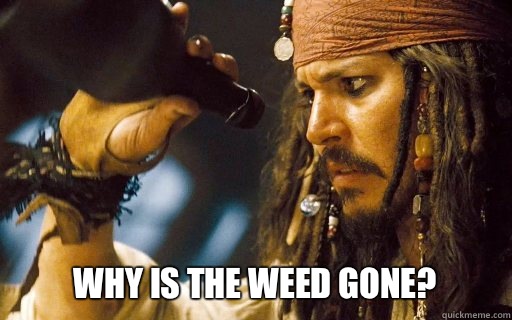 Why is the weed gone? - Why is the weed gone?  Captain Jack Sparrow