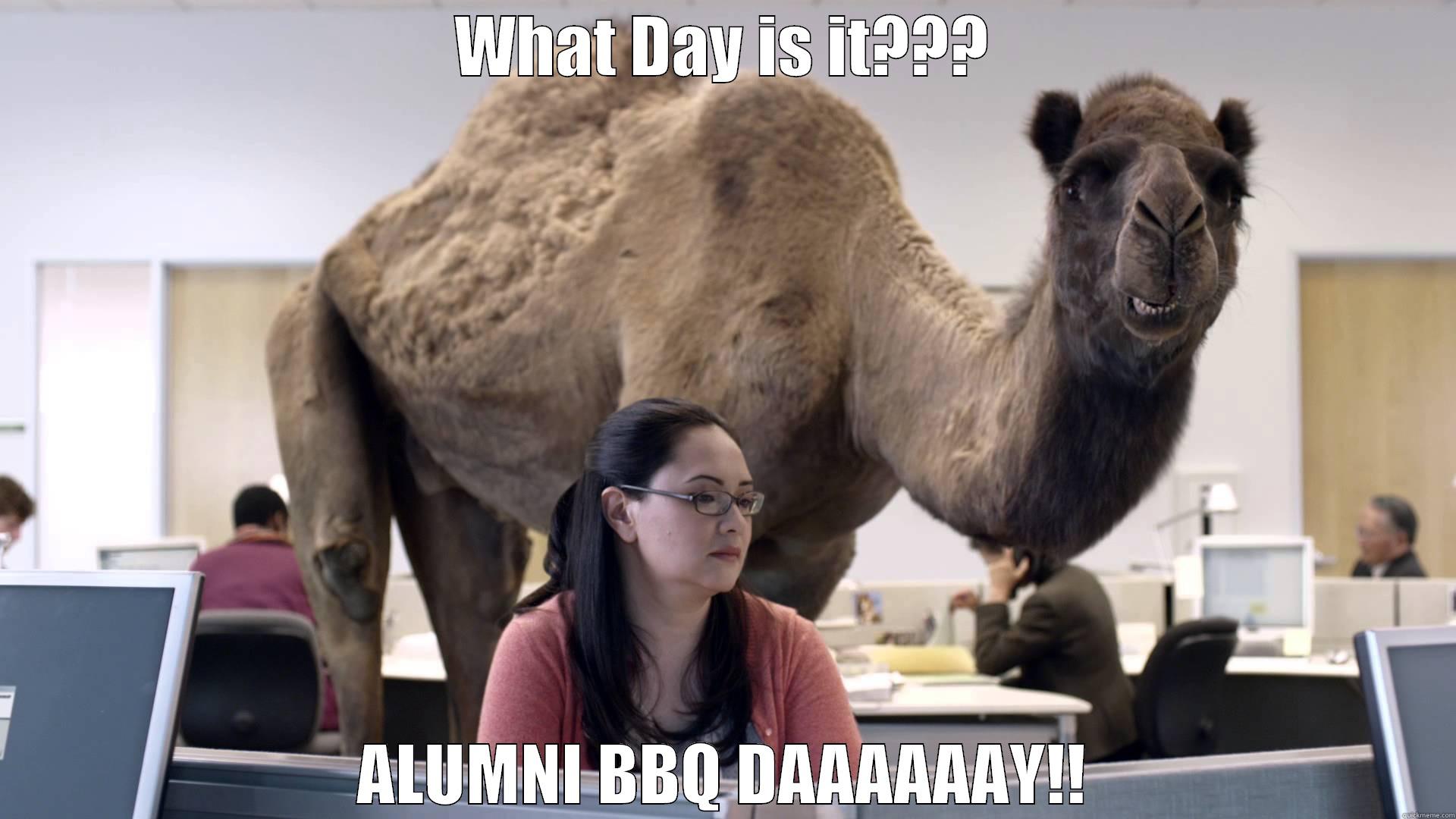 Mike Mike Mike... see you this weekend? - WHAT DAY IS IT??? ALUMNI BBQ DAAAAAAY!! Misc