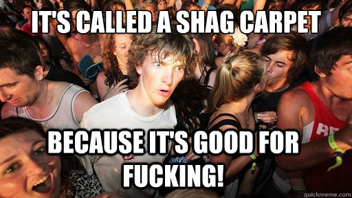 It's called a shag carpet because it's good for fucking!  Sudden Clarity Clarence