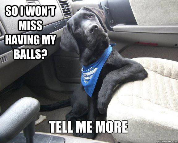 So I won't miss having my balls? tell me more - So I won't miss having my balls? tell me more  Easily Convinced Dog