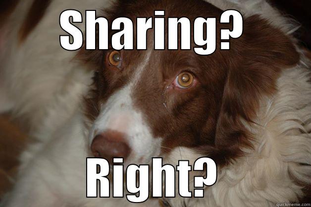 SHARING? RIGHT? Misc