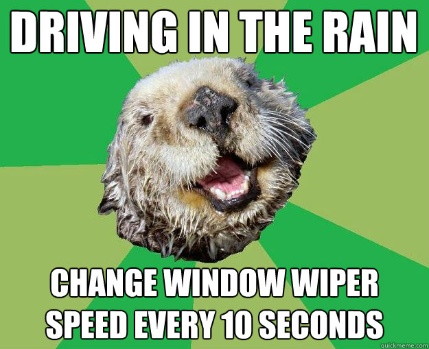 Driving in the rain Change window wiper speed every 10 seconds  OCD Otter