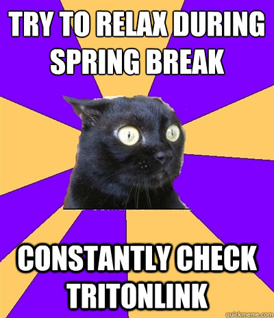 try to relax during 
spring break constantly check tritonlink  Anxiety Cat
