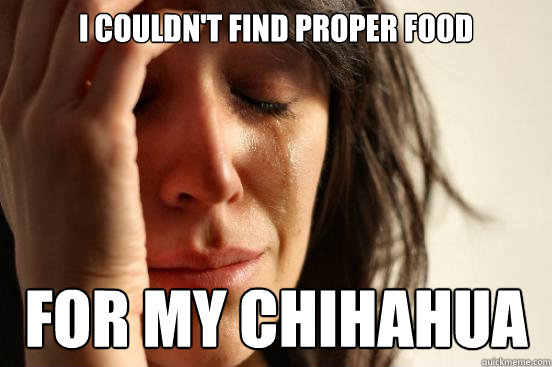 I COULDN'T FIND PROPER FOOD FOR MY CHIHAHUA  First World Problems