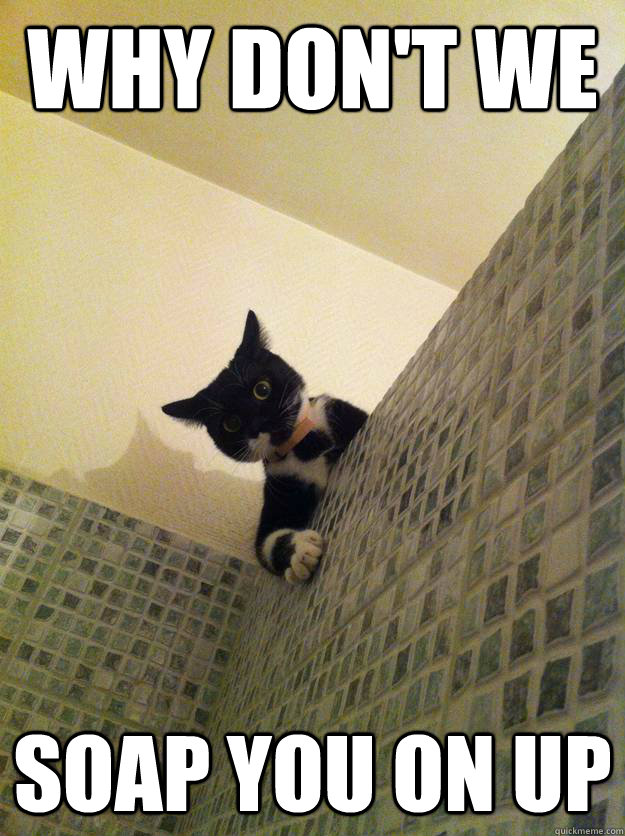 Why don't we Soap you on up  Seductive Cat
