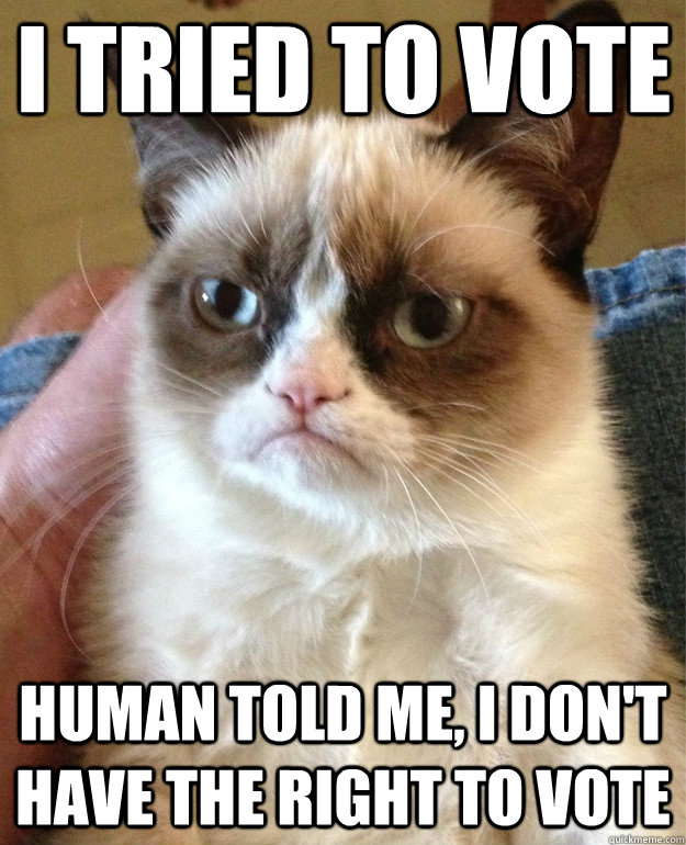 I tried to vote Human told me, I don't have the right to vote  Grumpy Cat
