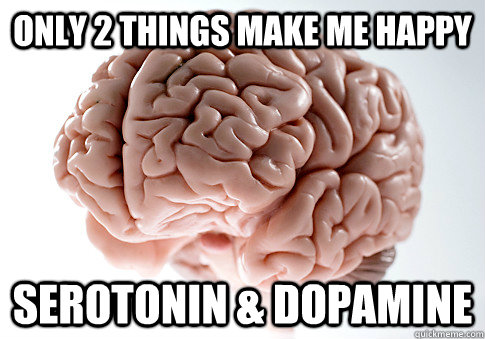 Only 2 Things Make Me Happy Serotonin & Dopamine  Scumbag Brain