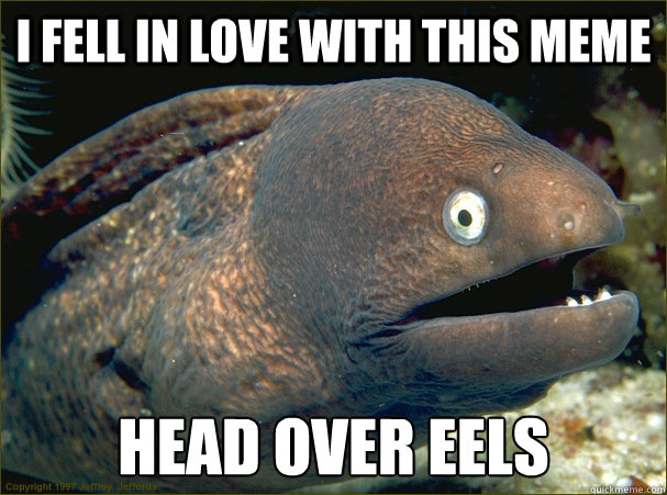 I fell in love with this meme head over eels - I fell in love with this meme head over eels  Bad Joke Eel
