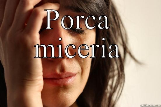 PORCA MICERIA  First World Problems
