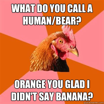 What do you call a human/bear? Orange you glad i didn't say banana?  Anti-Joke Chicken