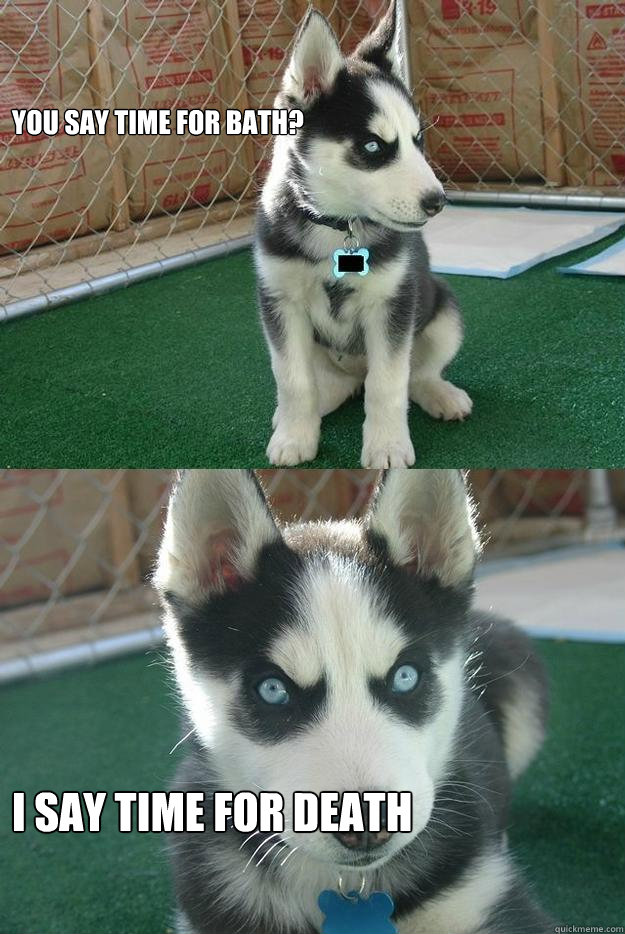 You say time for bath? I say time for death - You say time for bath? I say time for death  Insanity puppy