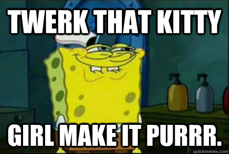 Twerk That kitty  Girl make it purrr.  Funny Spongebob
