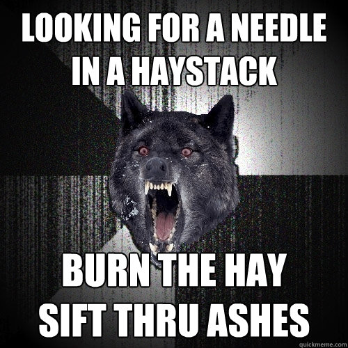looking for a needle in a haystack burn the hay
sift thru ashes  Insanity Wolf