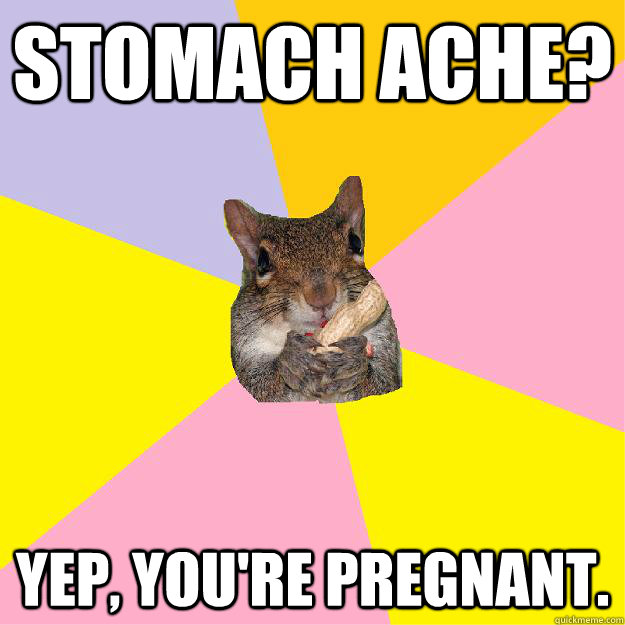 stomach ache? yep, you're pregnant.   Hypochondriac Squirrel