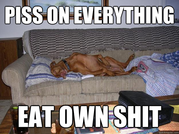 piss on everything eat own shit  Doing It Doggy Style