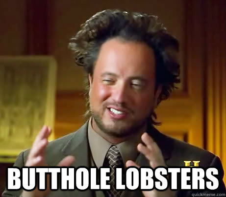  Butthole lobsters -  Butthole lobsters  Misc
