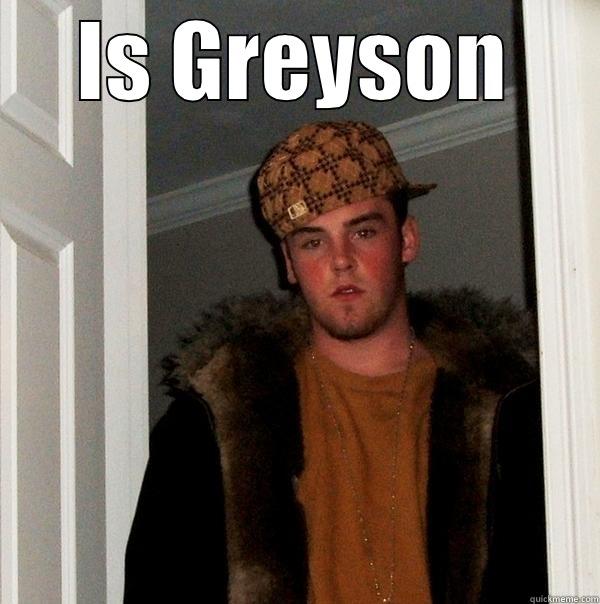 Greyson, really..... - IS GREYSON  Scumbag Steve