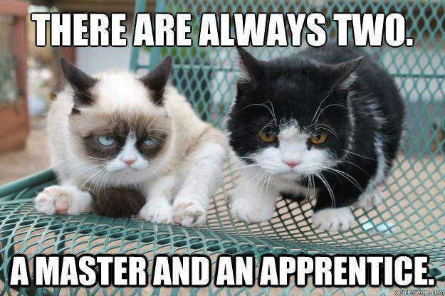 There are always two. a master and an apprentice. - There are always two. a master and an apprentice.  Grumpy Cat Apprentice